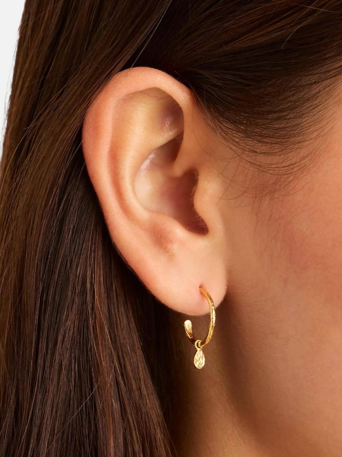 Gold Grace Hoops Earrings By Charlotte