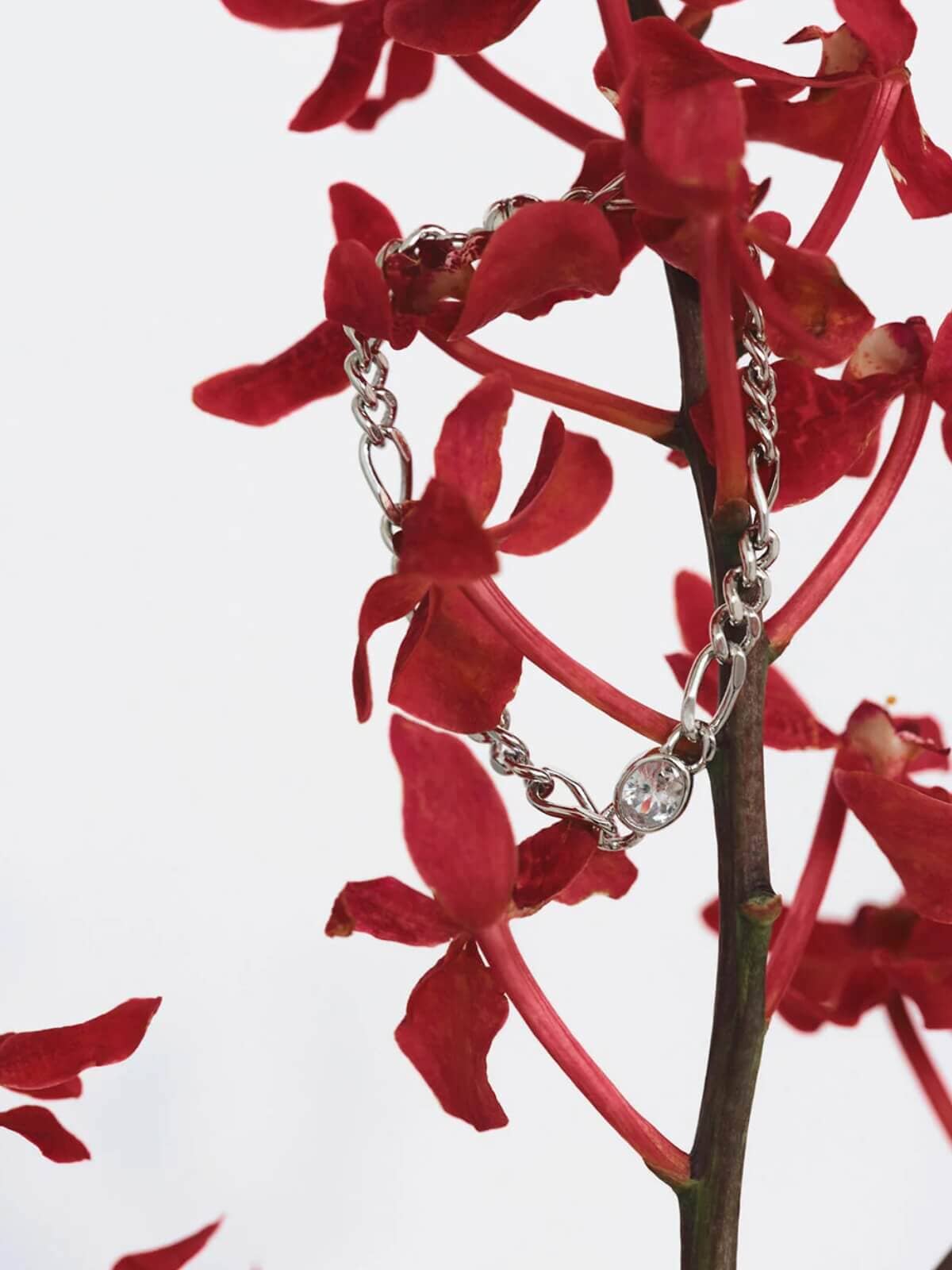 Luv AJ | The Oval Bezel Chain Bracelet - Silver | Perlu